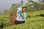 Darjeeling Second Flush, 2026