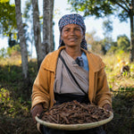 Laskein Wild Cinnamon