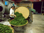 Shan Lin Xi Mountain Oolong