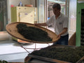 The Bai Family