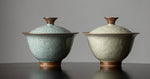 Modern Celestial Gaiwan