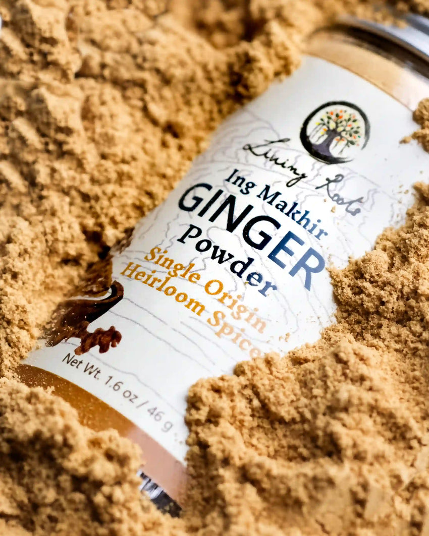 Fresh ginger root and Living Roots ginger powder