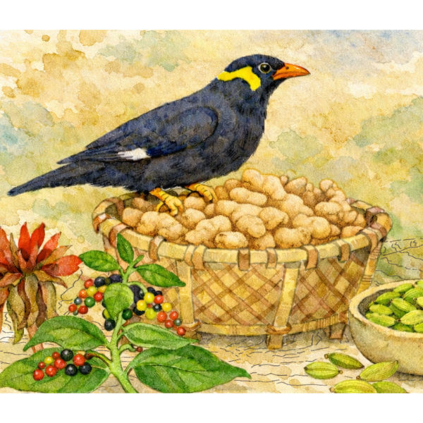 Illustration of a bird perched on a basket of nuts with a natural background