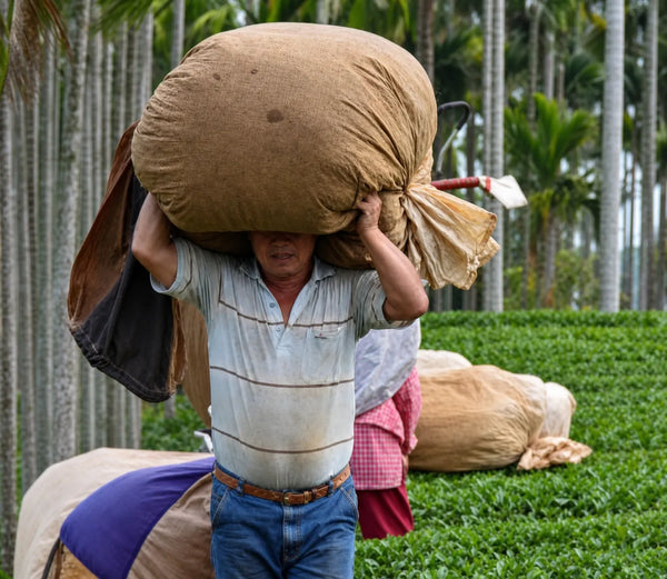  Small family farms, hand-picking, no shortcuts — the way oolong has been mad...